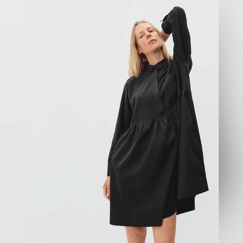 Everlane 100% Cotton Field Dress, Large